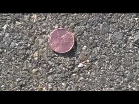 A Day In The Life Of A Penny
