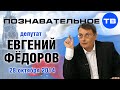 Евгений Фёдоров 28 октября 2014 (Познавательное ТВ, Евгений Фёдоров)