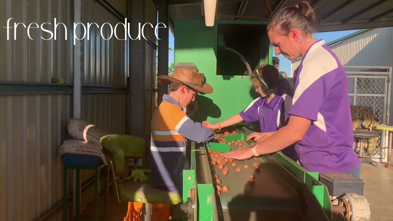 Mountain Produce. From our farm to your home