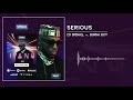 DJ Spinall - Serious Ft. Burna Boy (Audio)