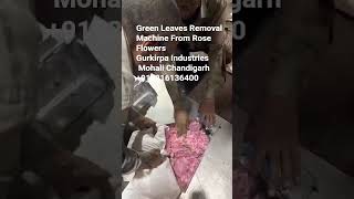 Green Leaves Removal Machine From Rose Flowers Gurkirpa Industries Mohali Chandigarh +919216136400