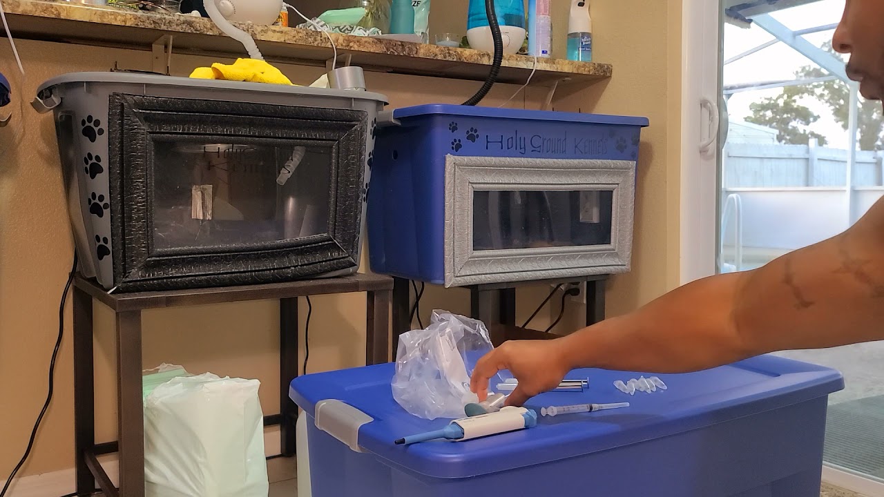 The proper way to use Canine Extender