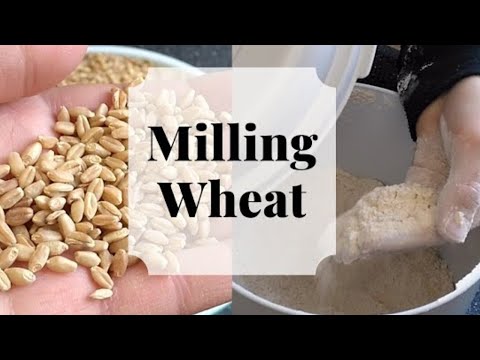 How To Grind Wheat Into Flour Minecraft
