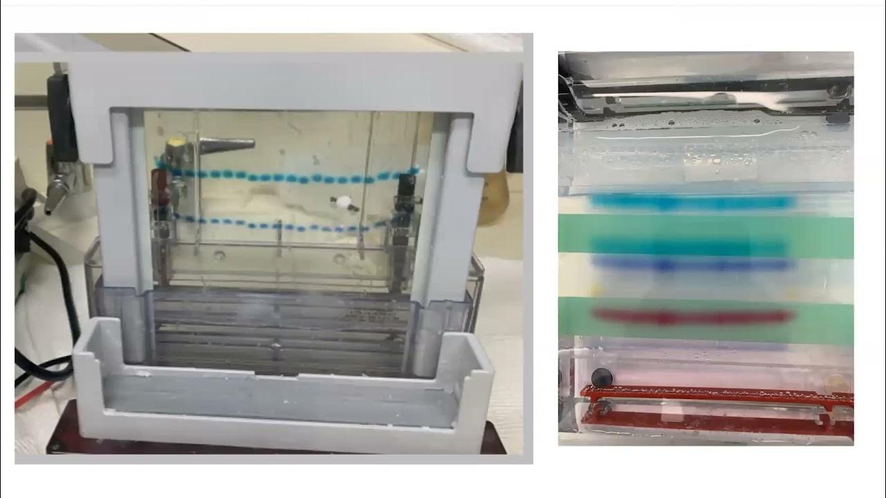 Sample loading buffers for gel electrophoresis (agarose & PAGE