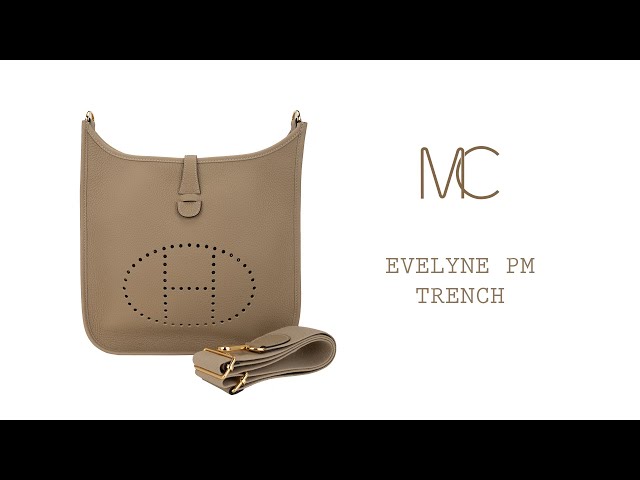 Hermes Evelyne PM Bag Rouge Grenat Gold Hardware Clemence – Mightychic