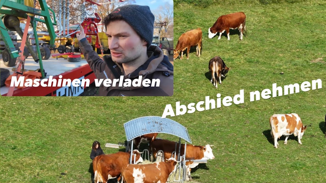 Maschinen verräumen | Metzger | 