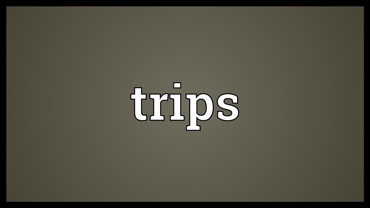 trips meaning slang