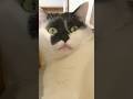レェ？