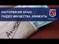 Расторжение брака. Раздел имущества. Алименты. Адвокат Павел Лыска Харьков. Передача Pro Закон