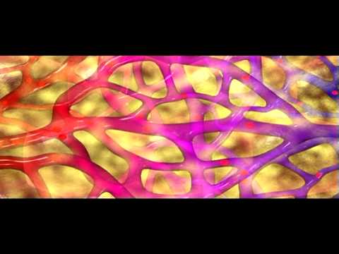 Capillaries | Biology | Anatomy - YouTube blood pathway diagram 
