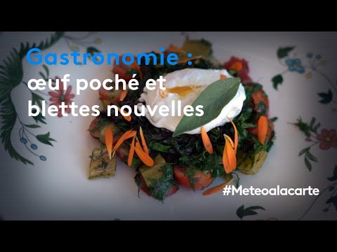 gastronomie-:-œuf-poché-et-blettes-nouvelles