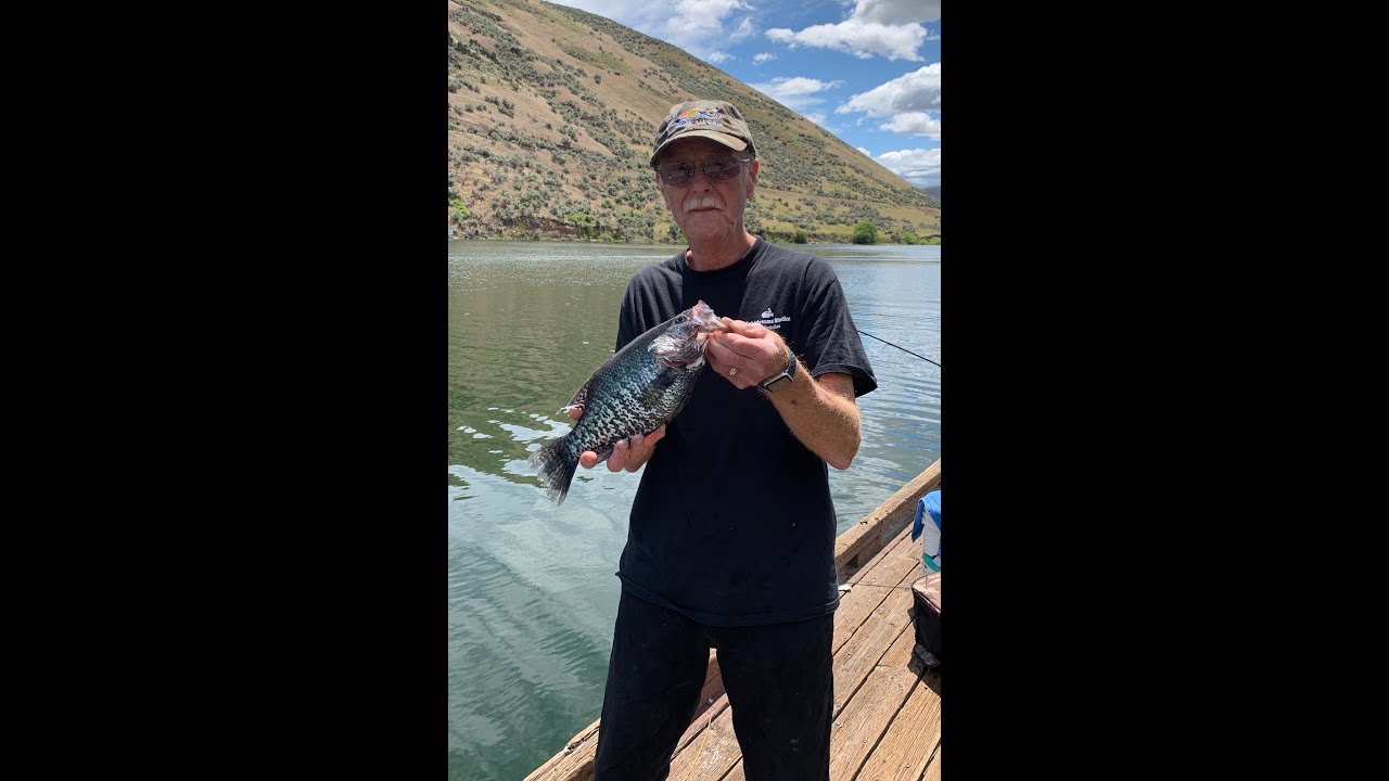BrownLee 12" to 15" Crappie June 2020 YouTube