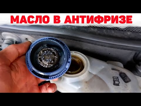 Масло в антифризе. Причины . Audi A6C5 2.5 TDI V6.