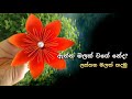 අත්කම් නිර්මාණ | paper craft flower decoration at home SInhala | Athkam nirmana flowers