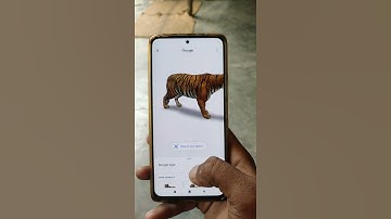 GOOGLE SEARCH ENGINE | TIGER 3D VIEW | YT SHORT