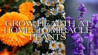 Grow Your Own Pharmacy! 🌿 10 Easy Medicinal Plants & Flowers for Epic Home Health Boosts 🌸