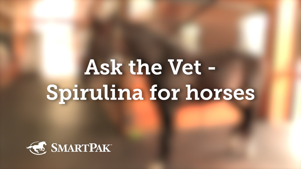 Ask the Vet Spirulina for horses YouTube