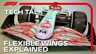 The Rules On Flexible Wings Explained Tech Talk Crypto.com