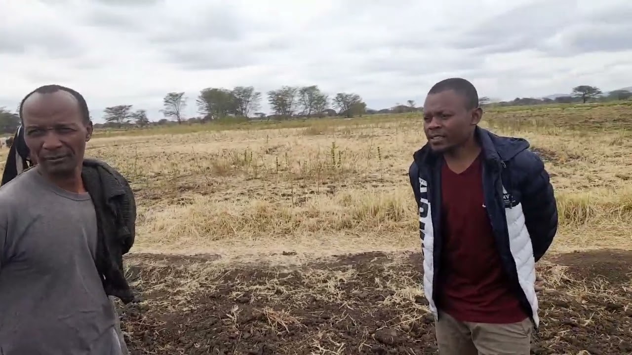 Mbolea na Upandaji wa Mahindi