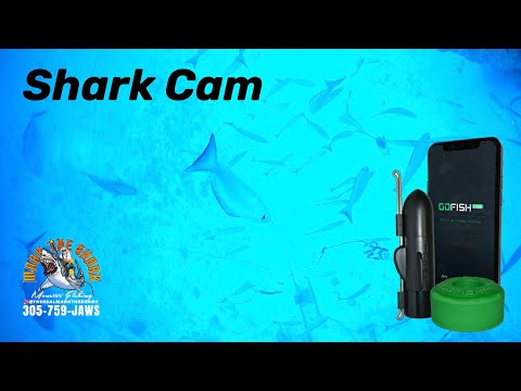 We put a GoFish camera on our shark rig @TheRealMarkTheShark #GoFish #Camera #fishing