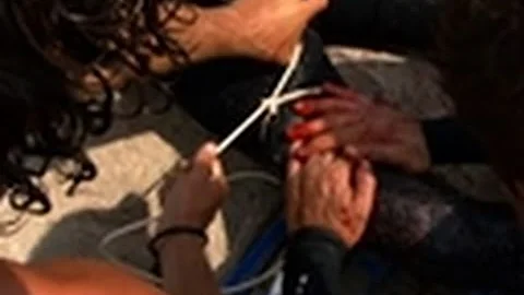 Shark Week 2011- Tasmanian Shark Attack