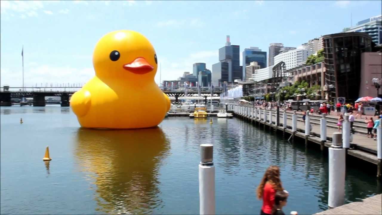 florentijn hofman rubber duck