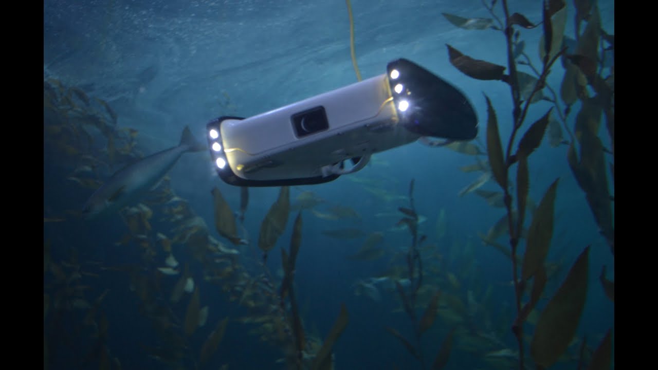 Move aside flying drones, it's time for underwater drones!
