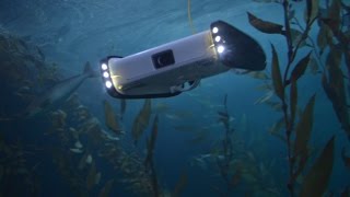 Move aside flying drones, it's time for underwater drones!