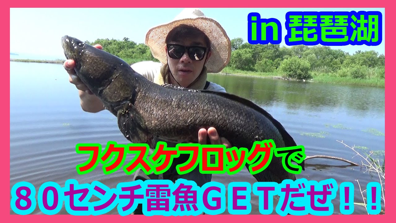 雷魚用フロッグ　大量まとめ売り　傷、汚れ有り Amazon.co.jp: ウィップラッシュファクトリー 雷魚フロッグ SODX 4個