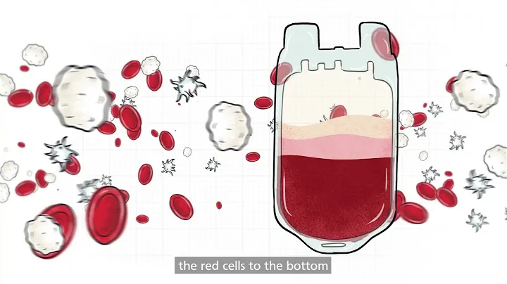 The Journey of Blood: What happens after you give blood | NHS Give Blood - DayDayNews