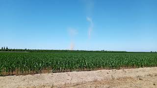 Two dust devil's in Fresno CA