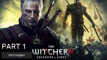 The Witcher 2 Assassin