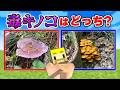 【間違えたら毒】絶対に食べてはいけない毒キノコはどっち！？【マイクラ】