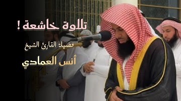 عشائية بديعة لفواتح سورة النجم بصوت الشيخ أنس العمادي | عشاء 7 ذو القعدة 1446 هـ