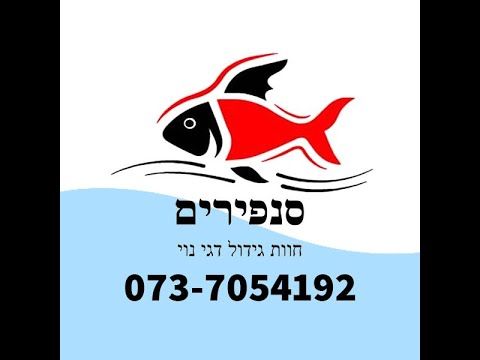 הרצאה 5 אל תישאר אובד אצות - סנפירים חוות גידול דגי נוי