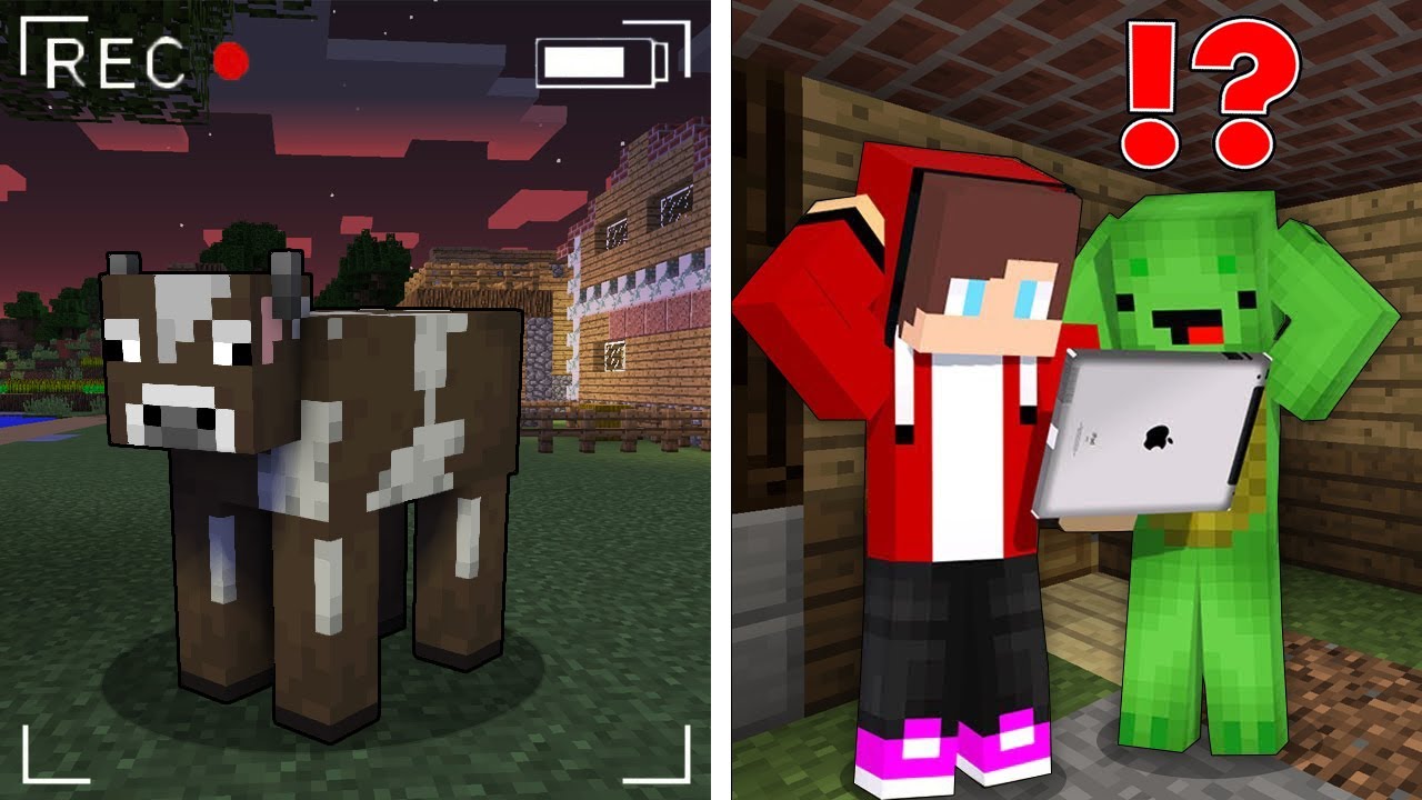 JJ and Mikey Watch unusual COW on The Cameras !?