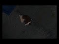 Doctor Who 1996 Alternate Ending