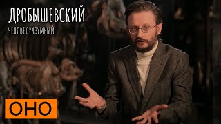 Как по трем черепам археологи рассказали про Сунгирь // Дробышевский. Человек разумный