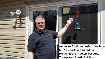 Ant Moat for HummingBird Feeder, Keeps the Ants Out!