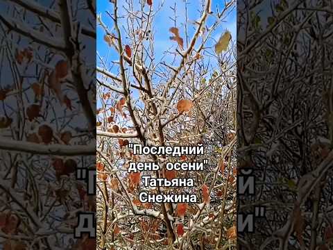 Последний день осени! #последнийденьосени
