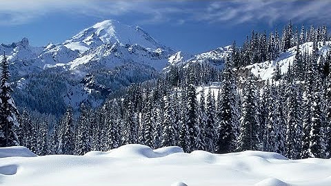 سورة النازعات ./ فضيلةالشيخ قاري صهيب احمد مير محمدي مدني حفظه اللّٰه