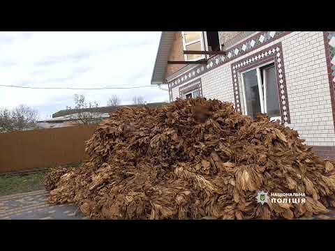 На Тернопільщині поліцейські виявили підпільне виробництво тютюну