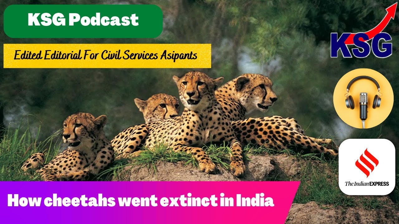 KSG Podcast | How cheetahs went extinct in India #upsc #prelims #