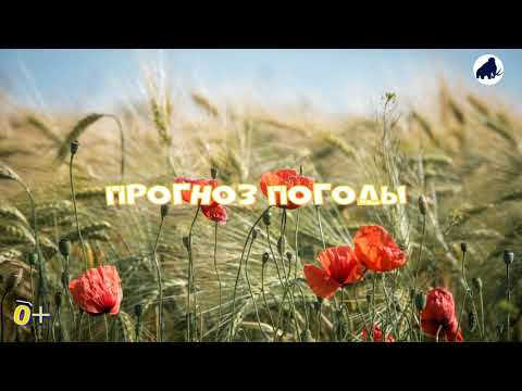 ПРОГНОЗ ПОГОДЫ на 5 мая 2023 года