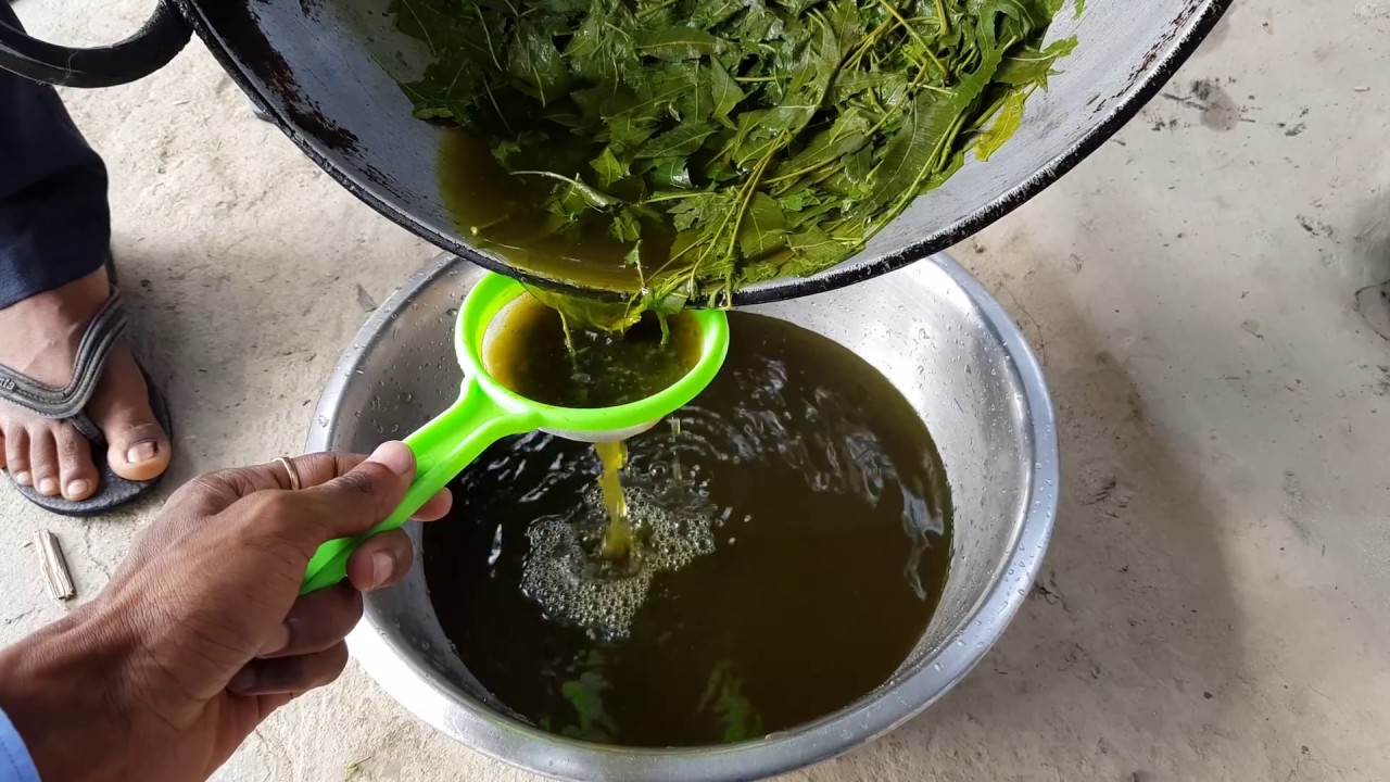 Birds Care Treatment And How to Keep Birds Parrots Farm Aviary Virus