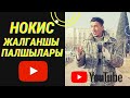 Нокис жалганшы палшылары. Коремиз