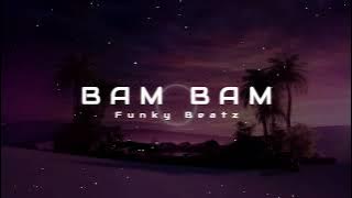 Misha Miller & Alex Velea - BAM BAM (Funky Beatz Bootleg)