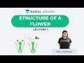 L1: Structure of a Flower  | Sexual Reproduction Plants  (Pre-Medical: NEET/AIIMS) | Ritu Rattewal
