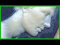 Low relief sculpture Timelapse - Woman's portrait in wax