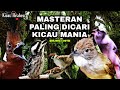 MASTERAN TERBAIK KOMBINASI KENARI, CILILIN, CUCAK JENGGOT JAWA, PLATUK BERAS, GEREJA TARUNG